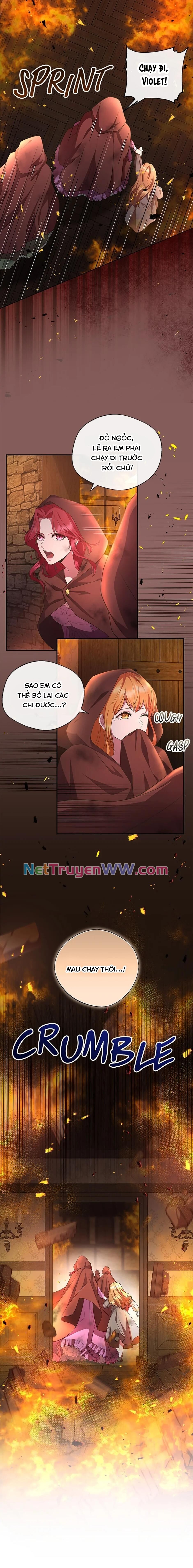 Đoá Violet nở rộ phía sau vườn Chapter 2 - Trang 1