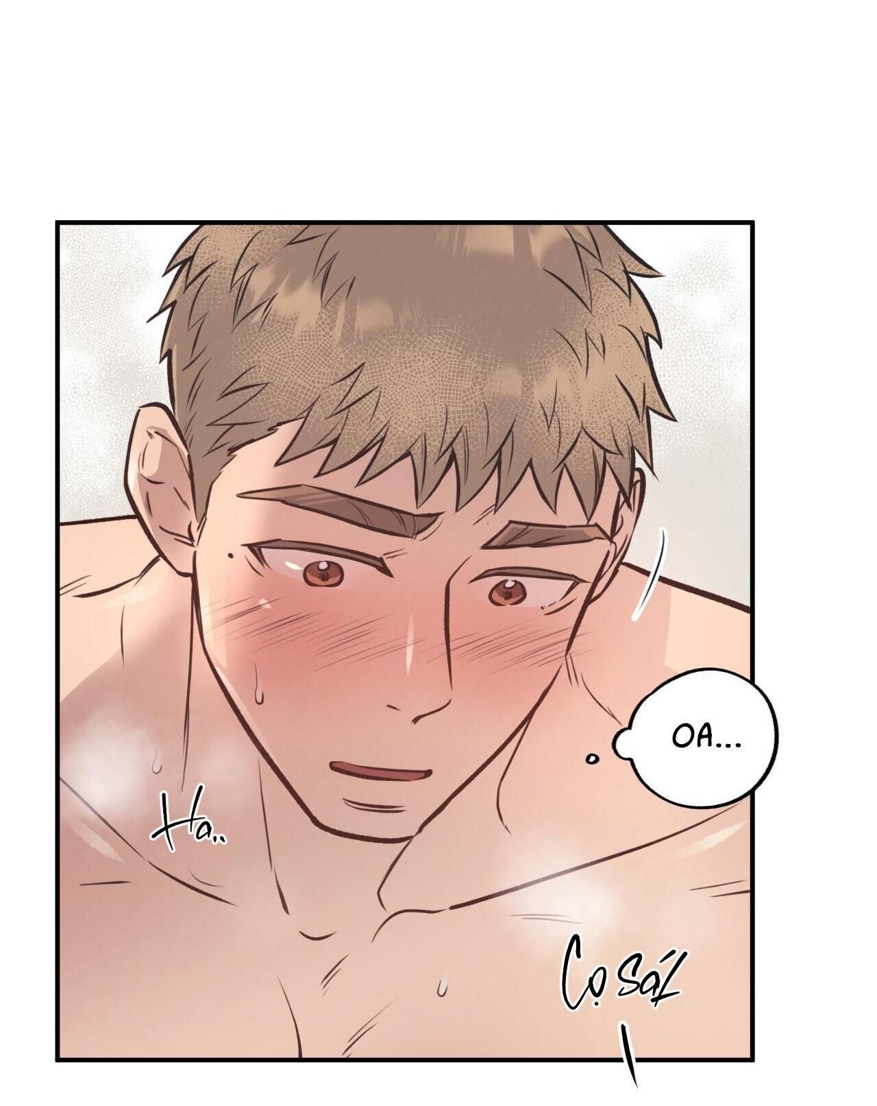 honey bear Chapter 19 - Trang 1