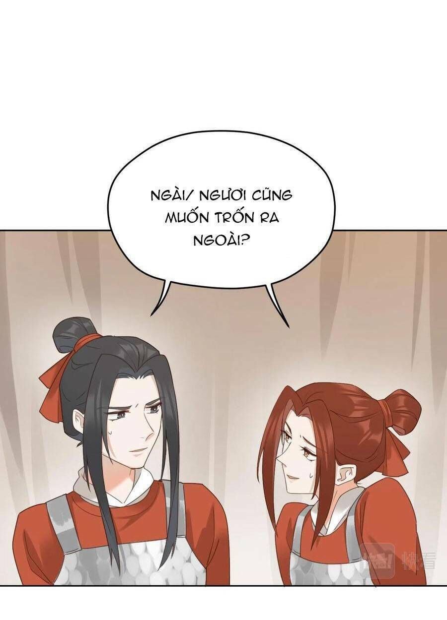 hoàng hậu vô đức chapter 73 - Trang 2