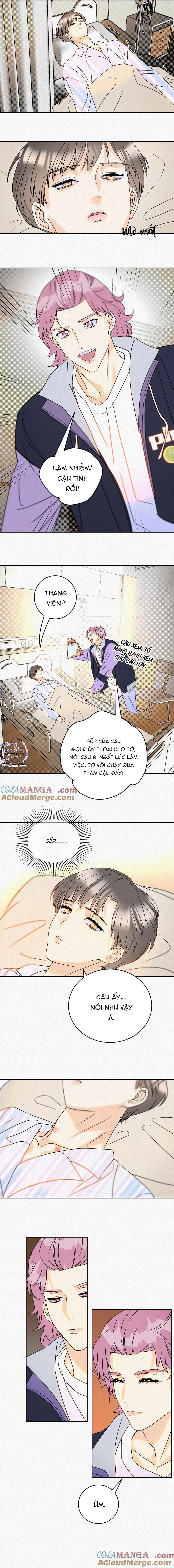 anh trai rẻ tiền của tôi Chapter 18 - Trang 1