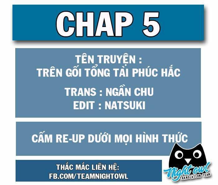 Trên Gối Của Chủ Tịch Ác Ma Chapter 5 - Next Chapter 6