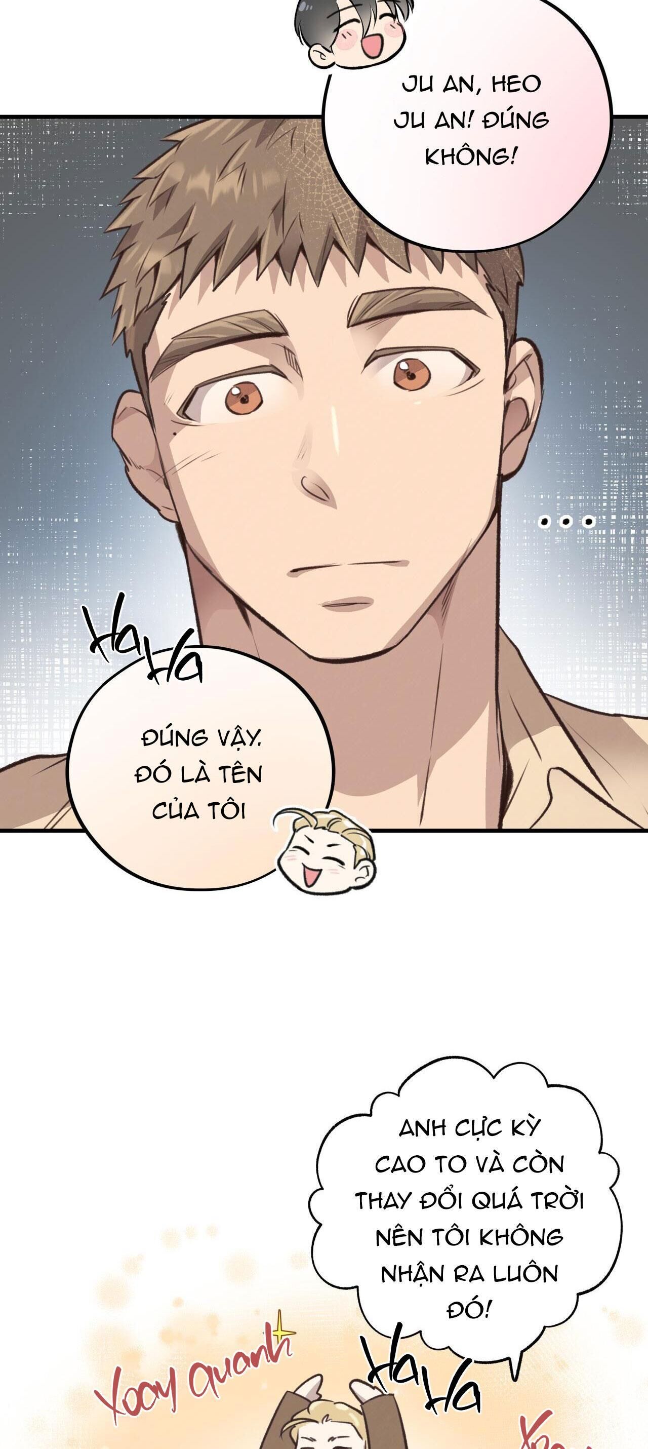 honey bear Chapter 36 - Trang 1