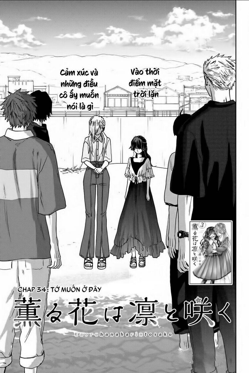 the fragrant flower blooms with dignity - kaoru hana wa rin to saku chapter 34 - Next chapter 35: pháo bông