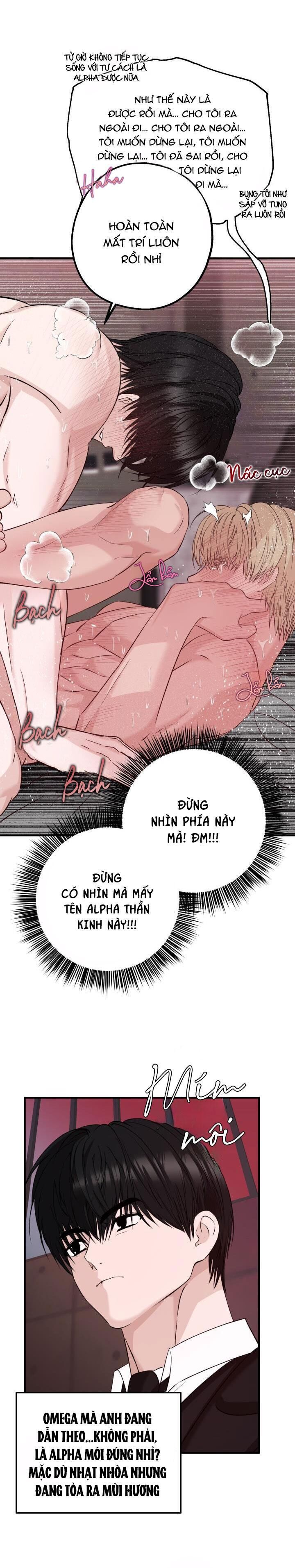 tuyển tập nhất thụ đa công của nhà kim Chapter 18.2 ALPHA 2 - Trang 1