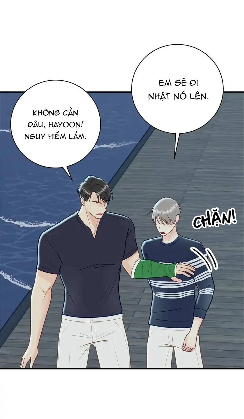 hạnh phúc trọn vẹn Chapter 38 - Next 39