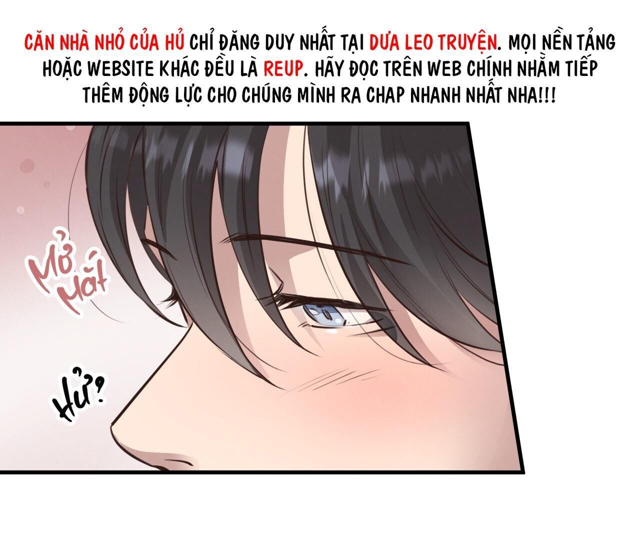 mật gấu Chapter 32 - Next Chương 33