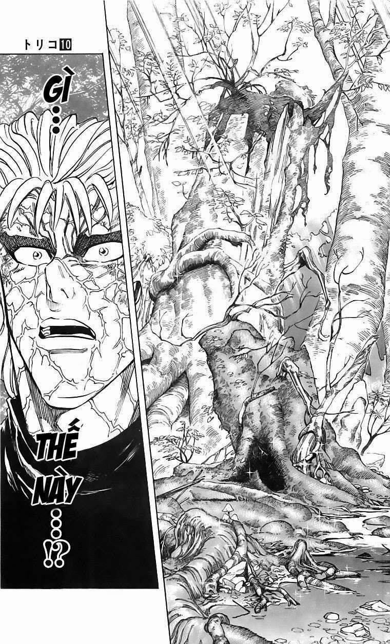 Toriko - Thợ Săn Ẩm Thực Chapter 86 - Trang 2