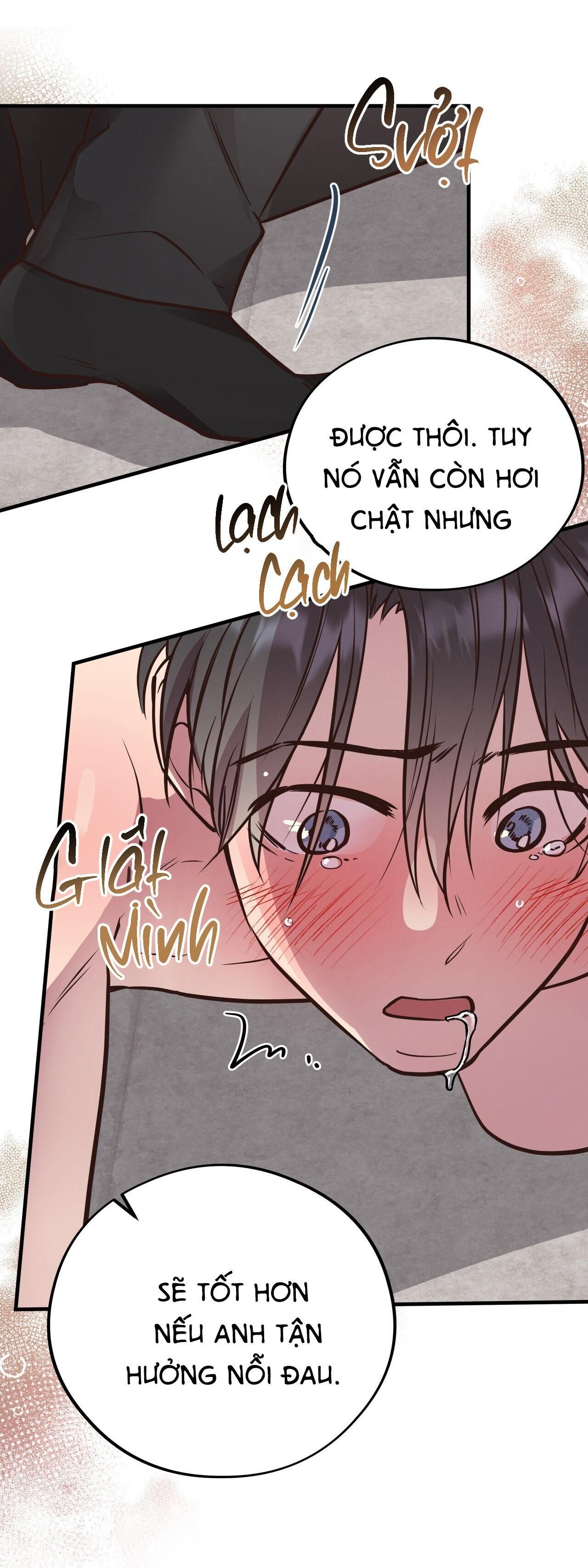 mật gấu Chapter 41 - Next Chapter 42