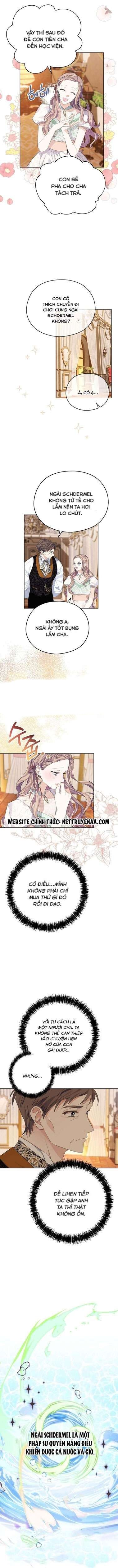 Cây Cúc Tây Thân Yêu Của Tôi Chapter 11 - Trang 1