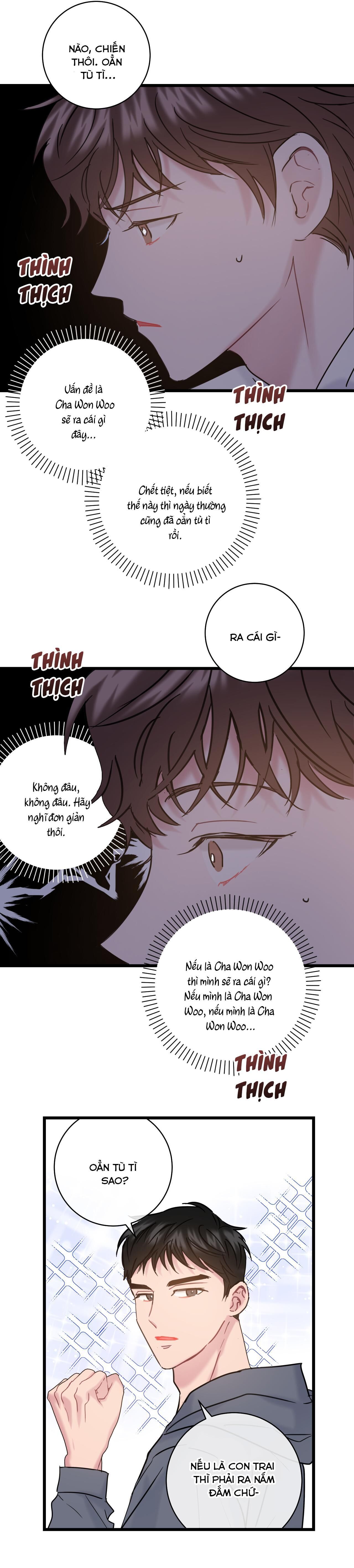 tình yêu bình dị nhất Chapter 19 - Trang 2