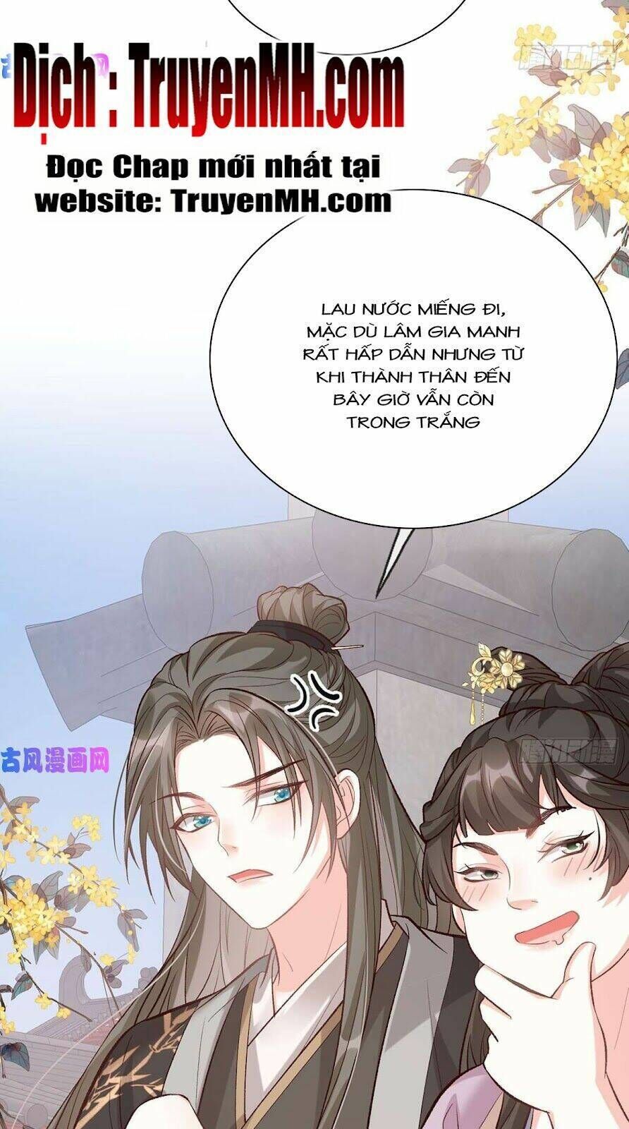 kiều mỵ phu lang, tại tuyến lục trà chapter 62 - Next chapter 63