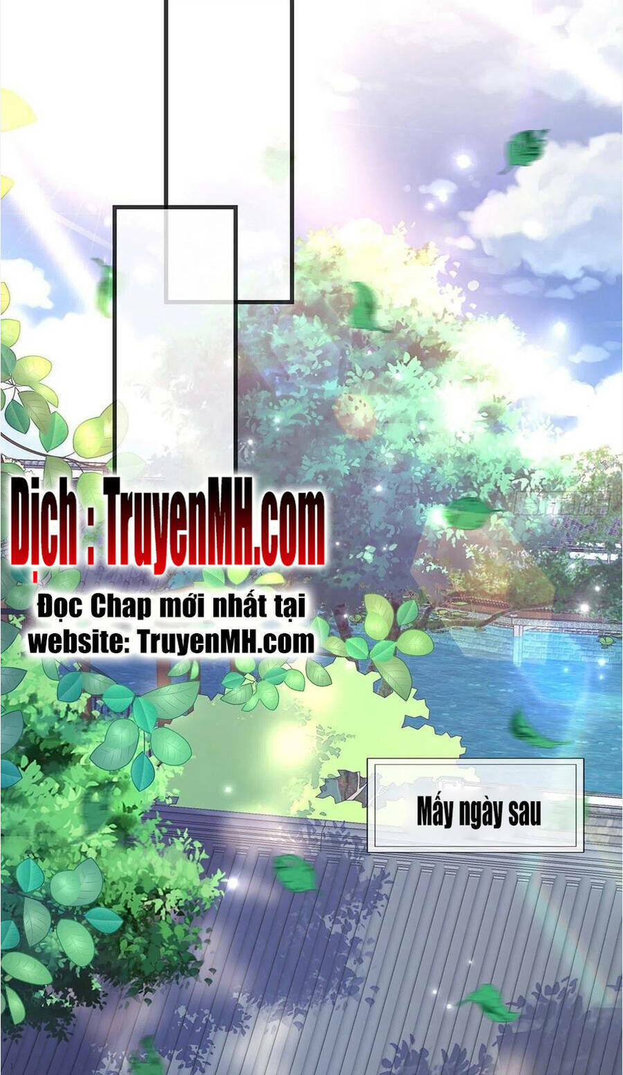 kiều mỵ phu lang, tại tuyến lục trà chapter 86 - Next chapter 87