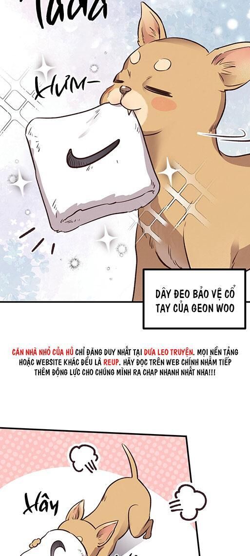 mật gấu Chapter 26 - Next Chương 27