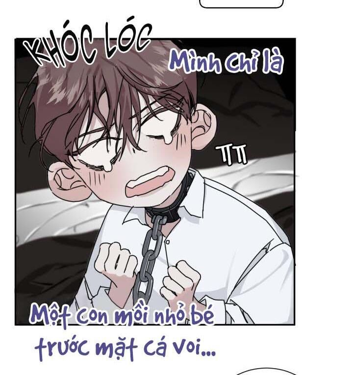 lãng mạn một chiều Chapter 3 H+ - Next Chapter 3