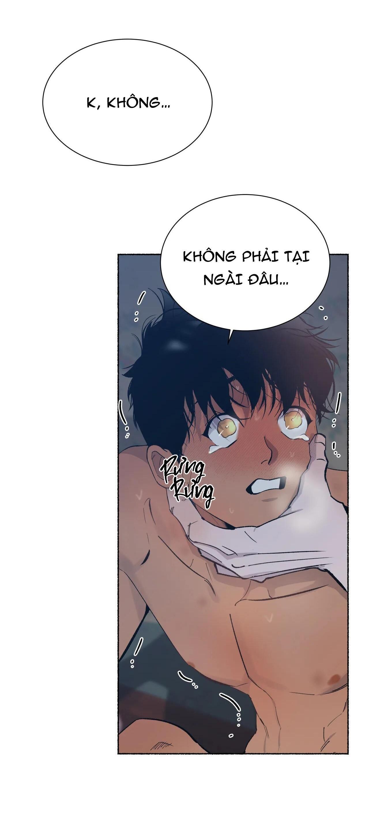 HỔ NGÀN NĂM Chapter 42 - Trang 2