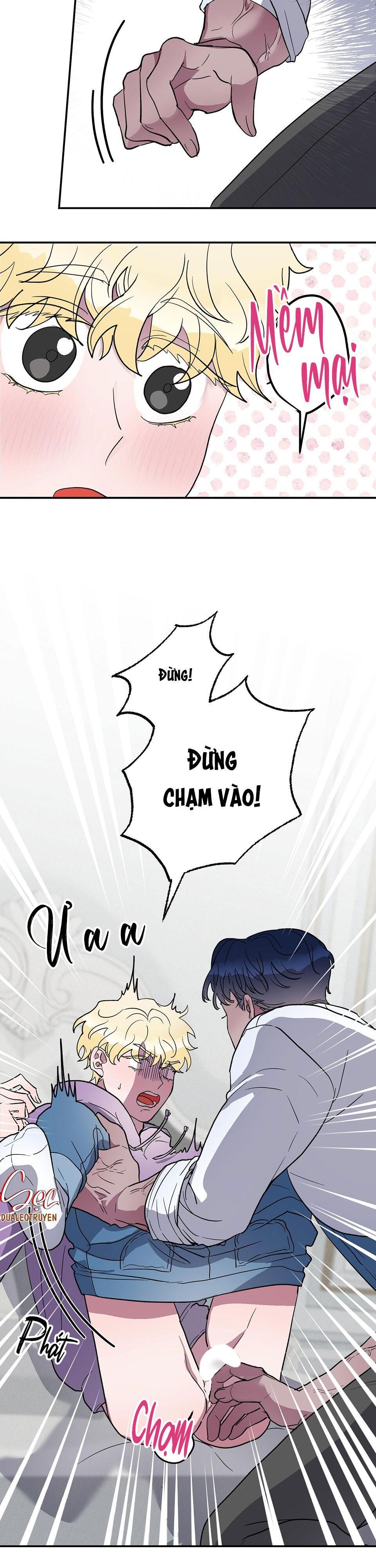 cá mập và cô dâu thỏ Chapter 1 - Trang 1