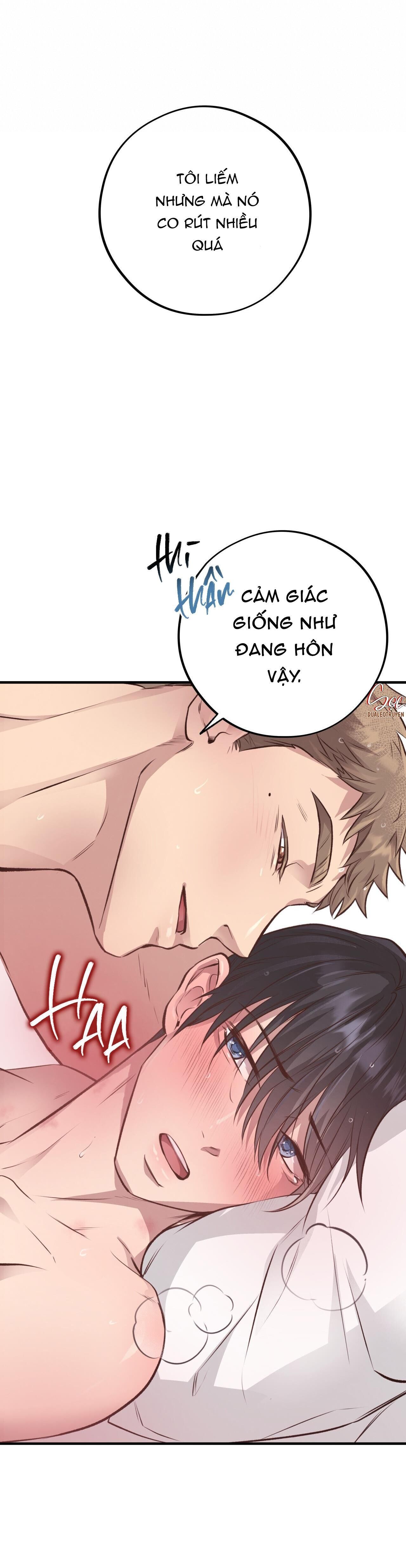 honey bear Chapter 27 - Trang 1