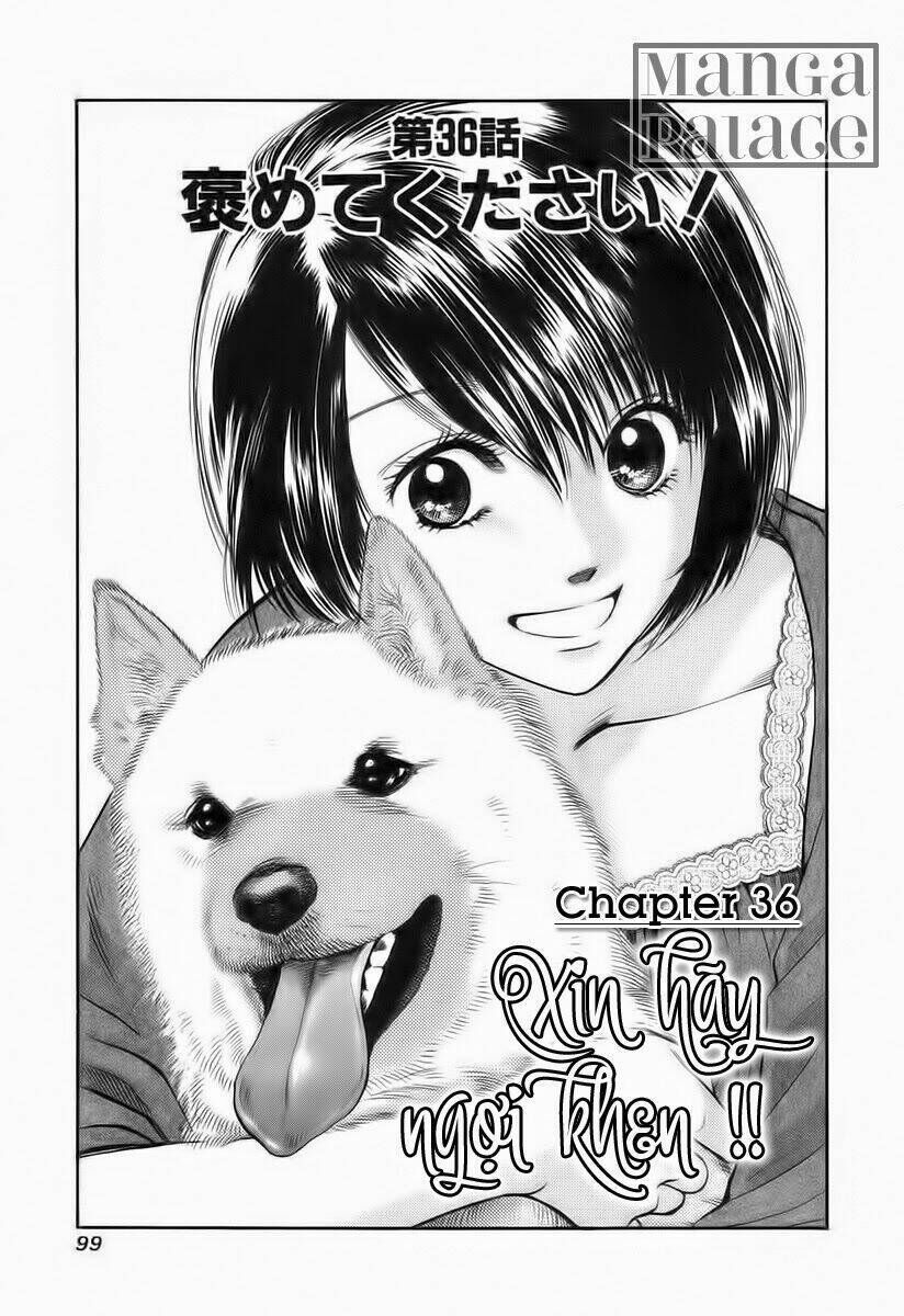 Cô Nàng Yêu Chó Chapter 36 - Trang 2