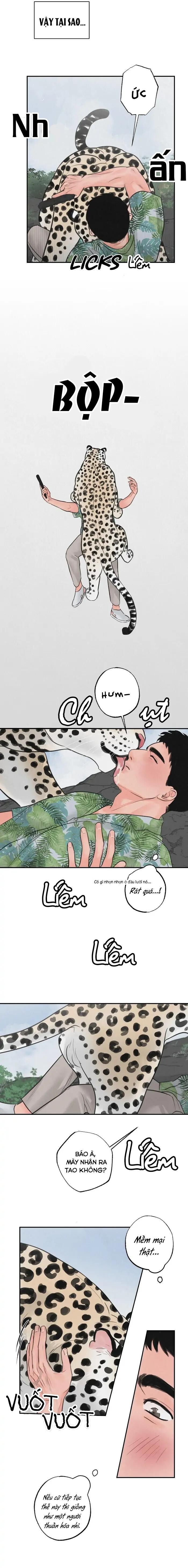 Tuyển Tập Manhwa 18+ Chapter 39 Safari Game - Trang 2