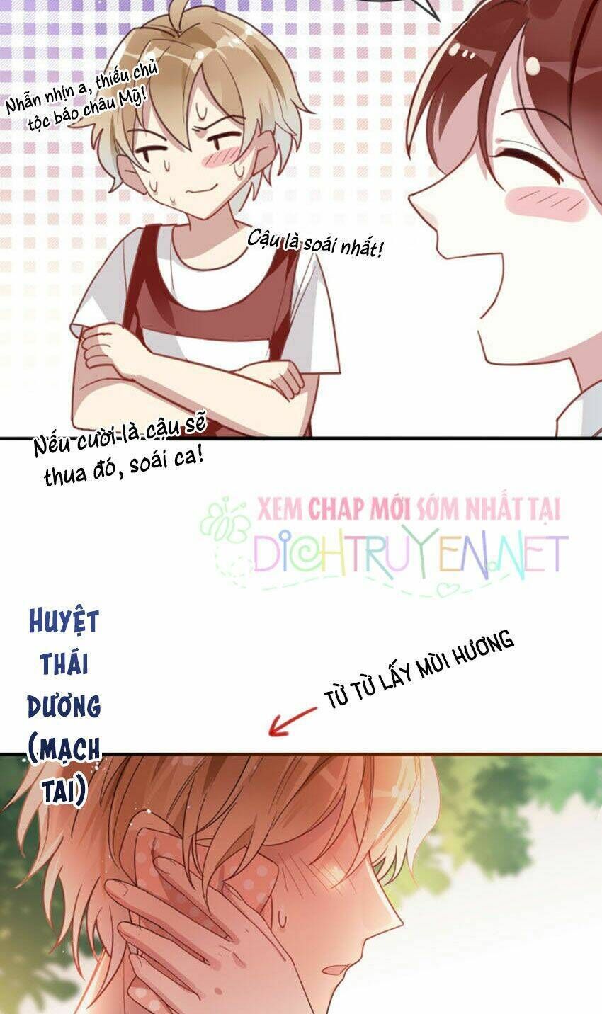 Em Là Bạc Hà Mèo Của Tôi Chapter 19 - Trang 2