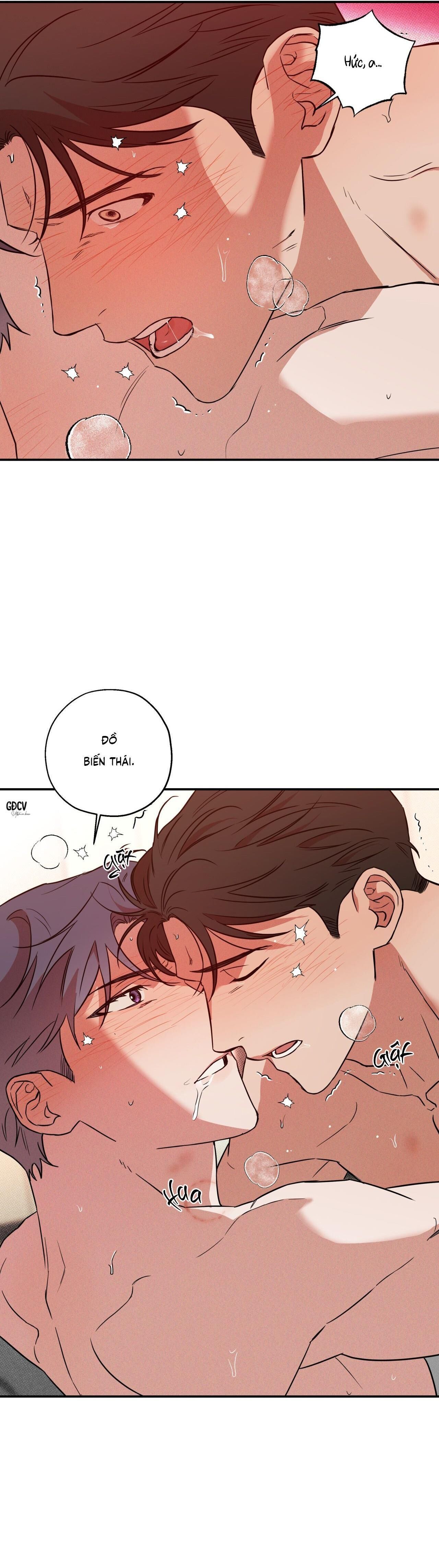 ANH RỂ Chapter 3 18++ - Trang 2