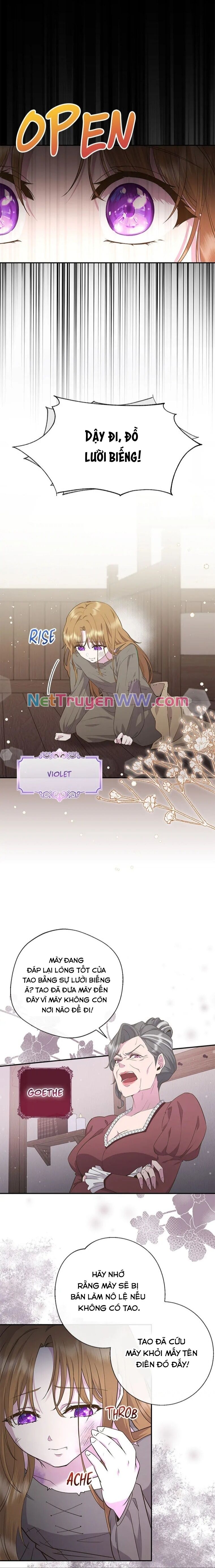 Đoá Violet nở rộ phía sau vườn Chapter 1 - Trang 1