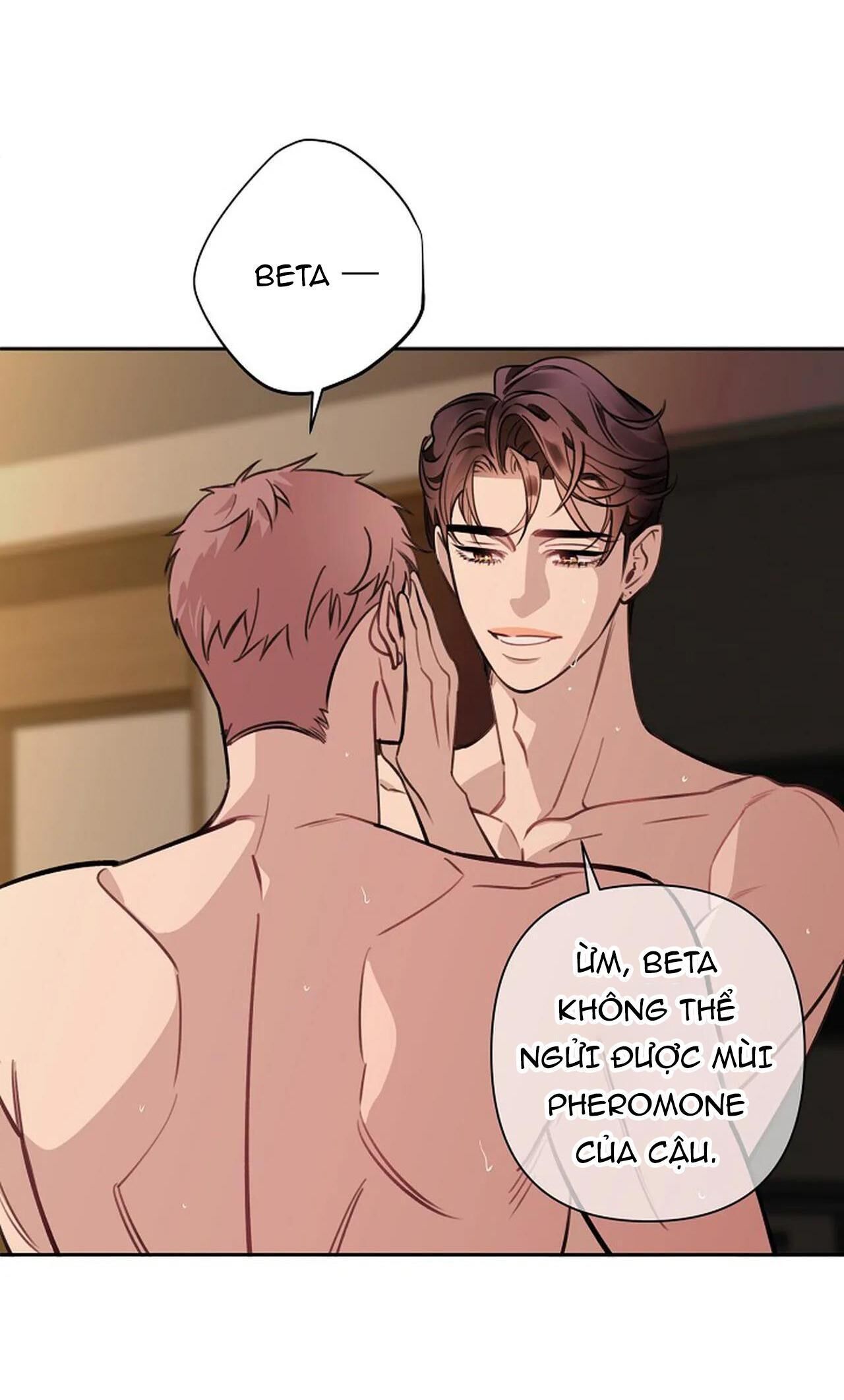 đêm dịu dàng Chapter 51 - Trang 2