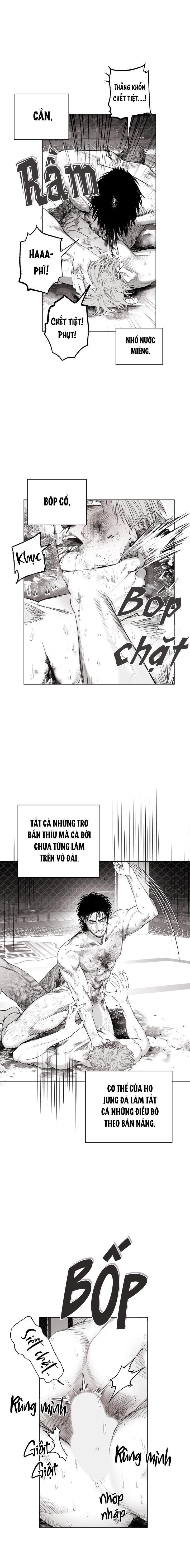 nhà vô địch ngoan cường Chapter 11 - Next Chapter 11