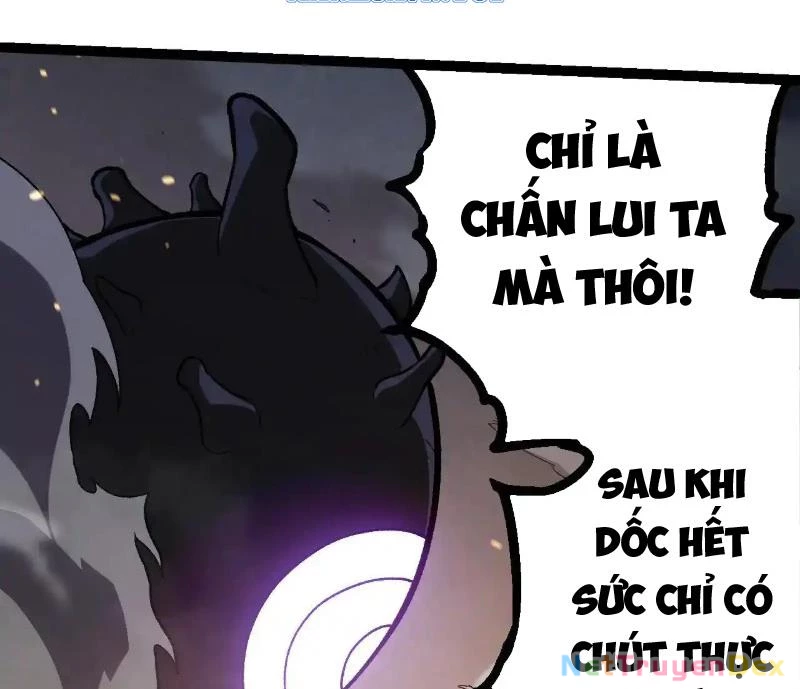 chuyển sinh thành liễu đột biến Chapter 315 - Trang 2