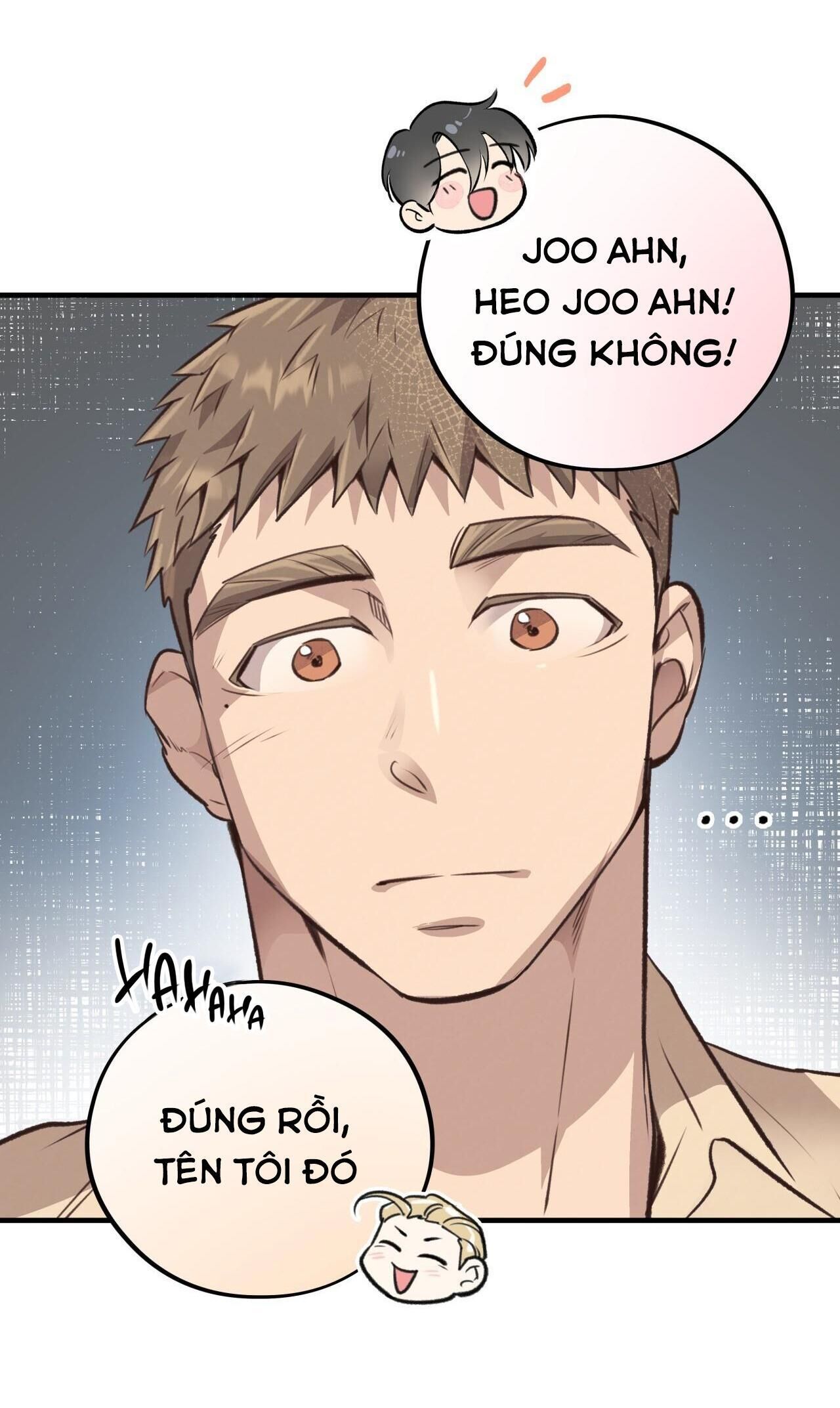 mật gấu Chapter 36 - Trang 2