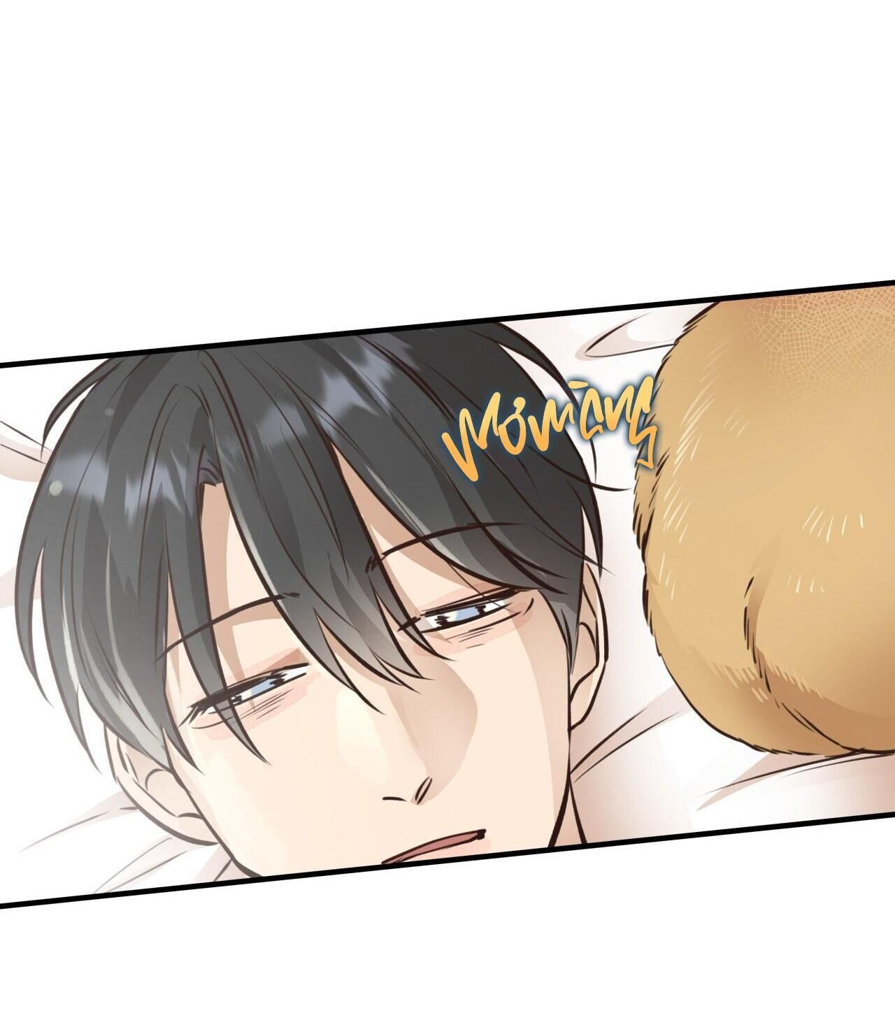 honey bear Chapter 29 - Trang 1