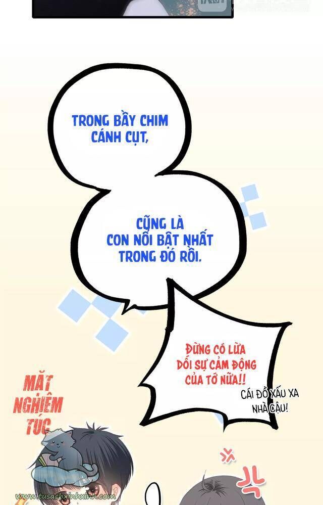 con tim rung động chương 67 - Trang 2