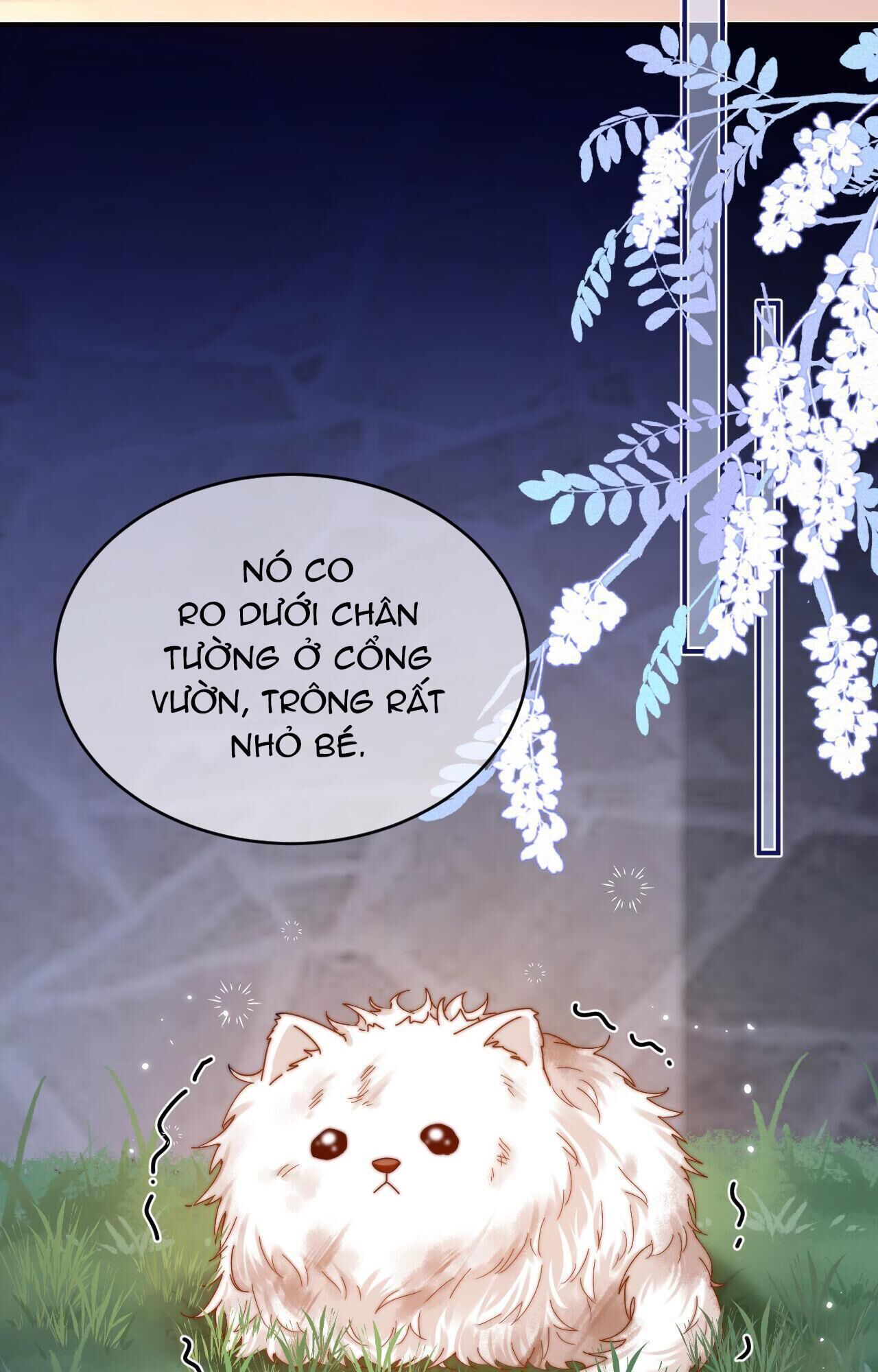 chất dị ứng cực cute Chapter 52 - Trang 2