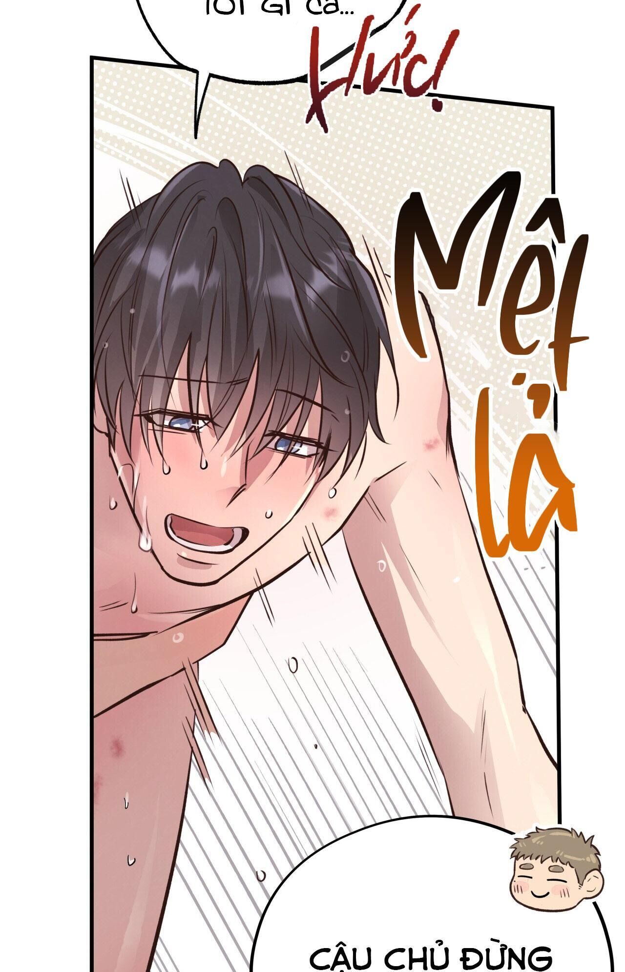 mật gấu Chapter 29 - Next Chương 30