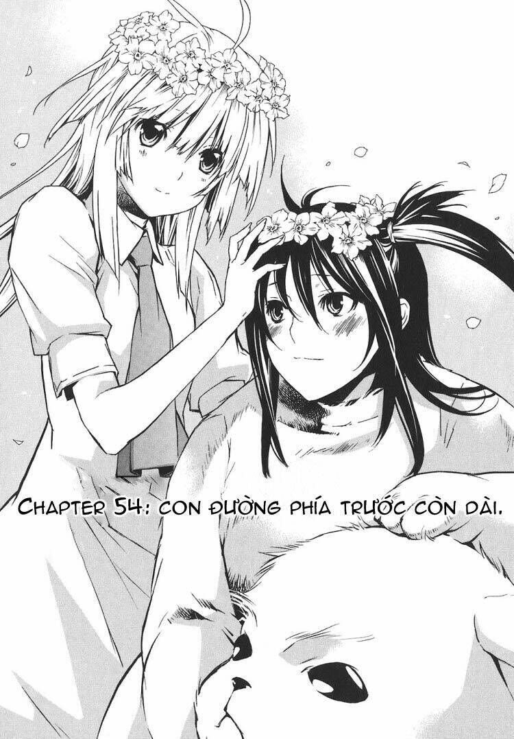 Sekirei Chapter 54 - Trang 2