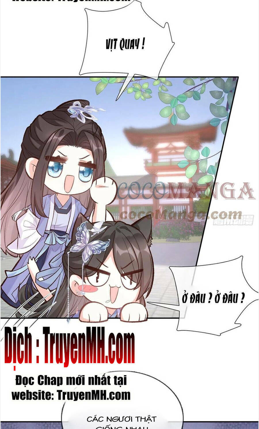 kiều mỵ phu lang, tại tuyến lục trà chapter 81 - Next chapter 82