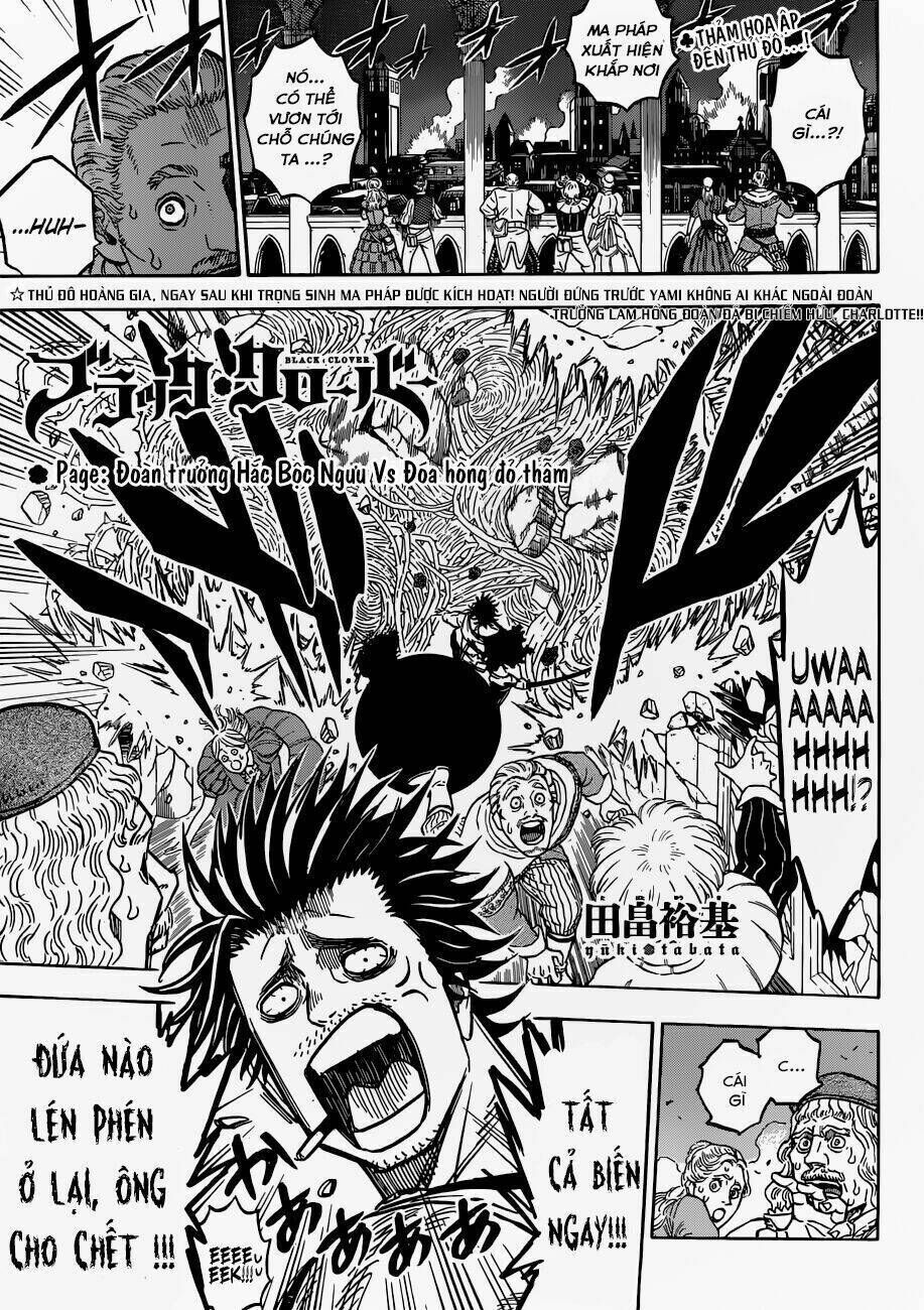 black clover - pháp sư không phép thuật chapter 169 - Trang 2