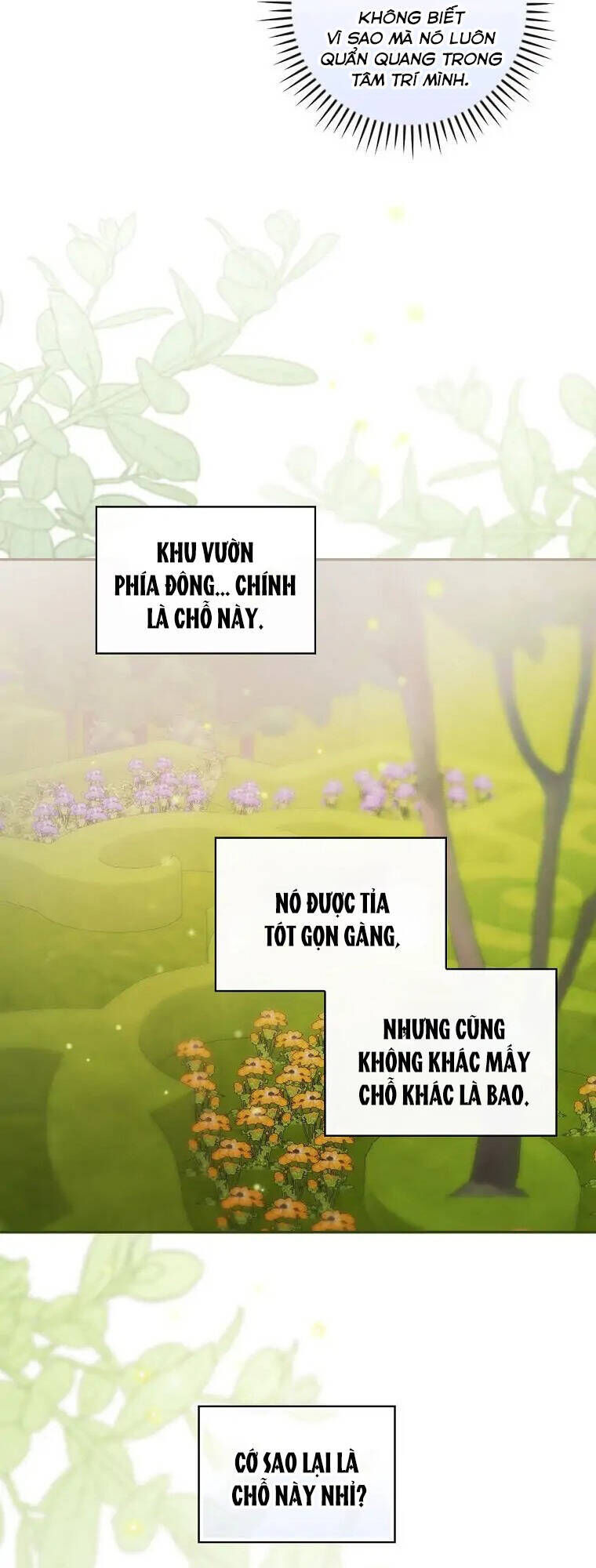 tôi trở thành mẹ của chiến binh chapter 25 - Trang 2