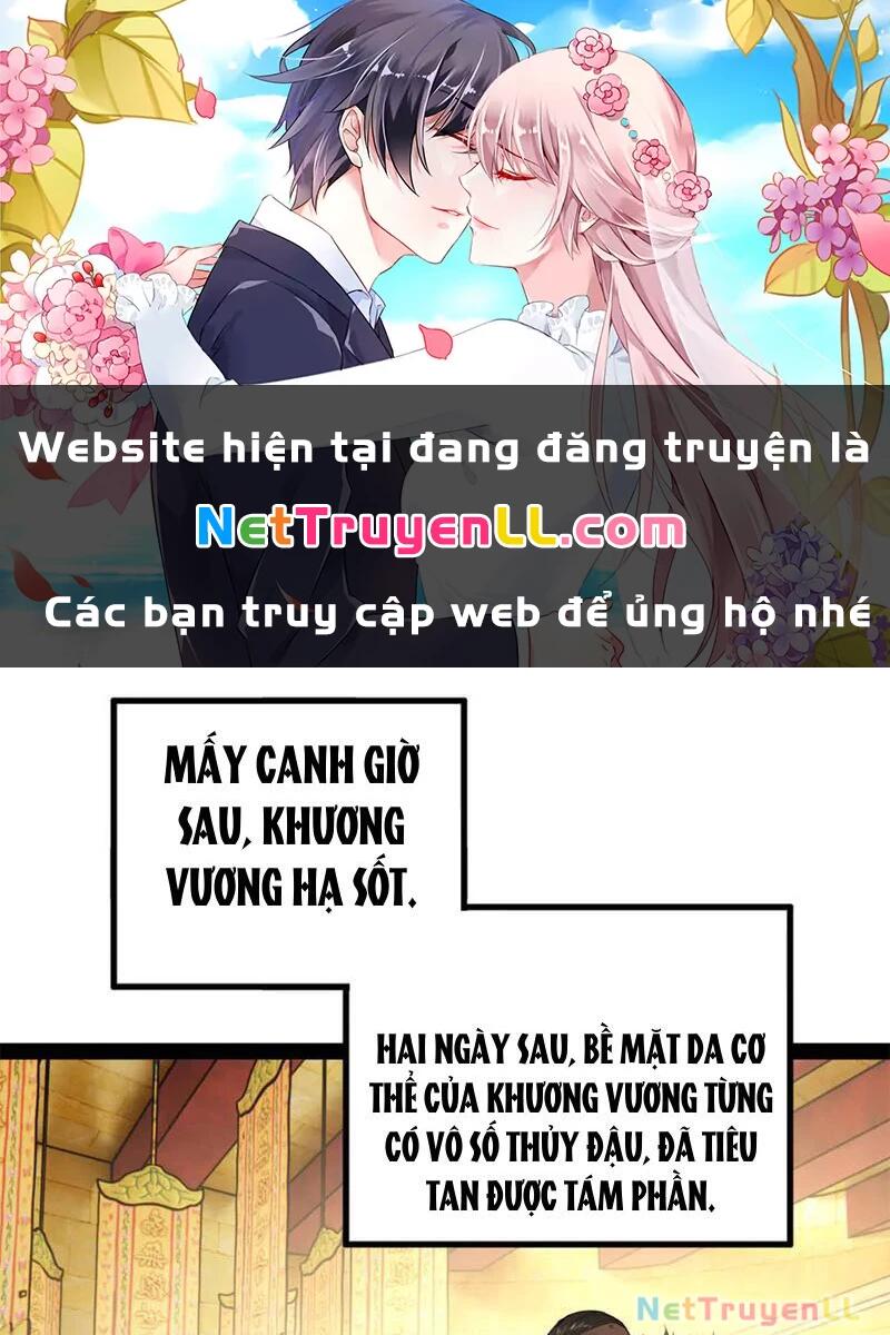 chàng rể mạnh nhất lịch sử Chapter 217 - Next Chapter 218