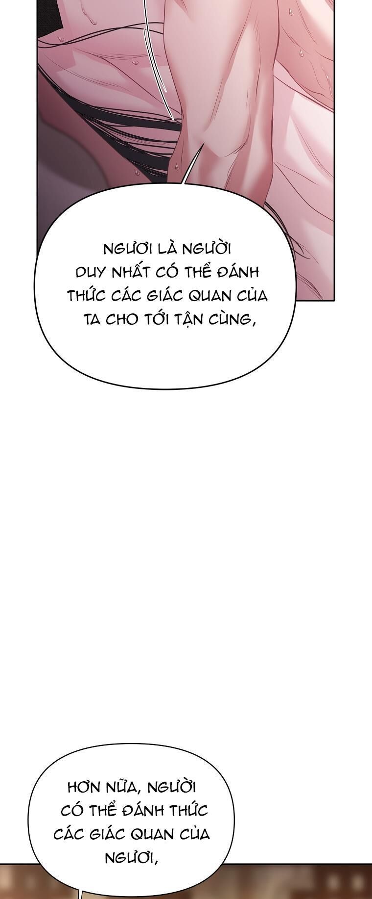 xuân phong viên mãn Chapter 17 - Trang 2