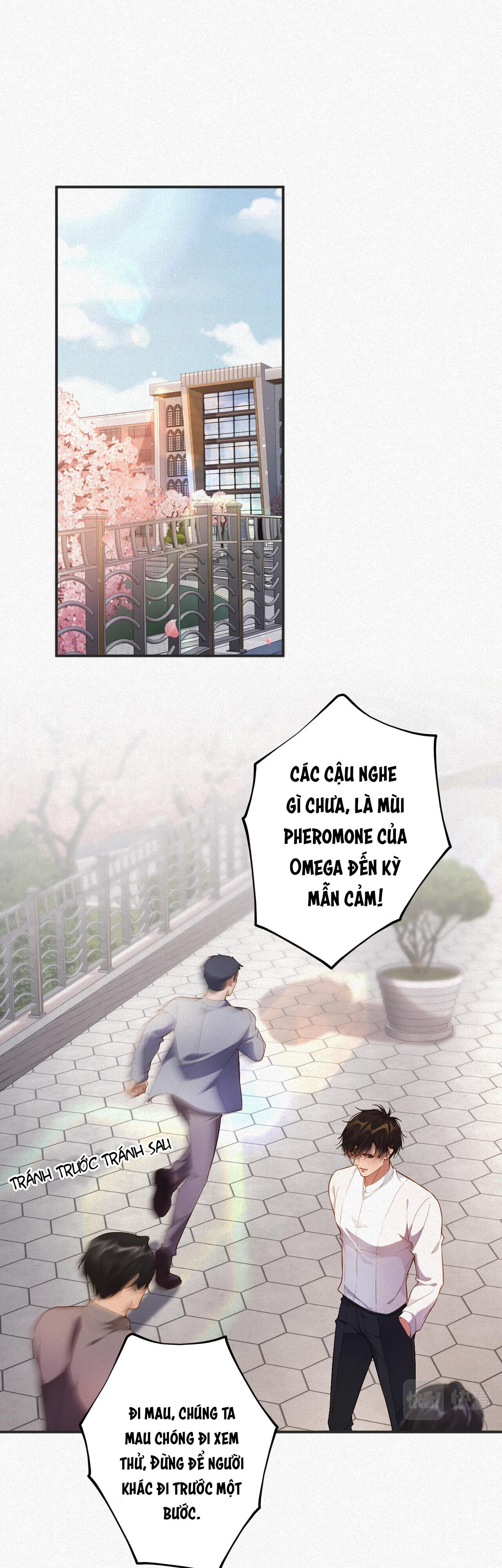 Chồng Trước Lại Muốn Phục Hôn Rồi Chapter 12 - Next Chapter 13