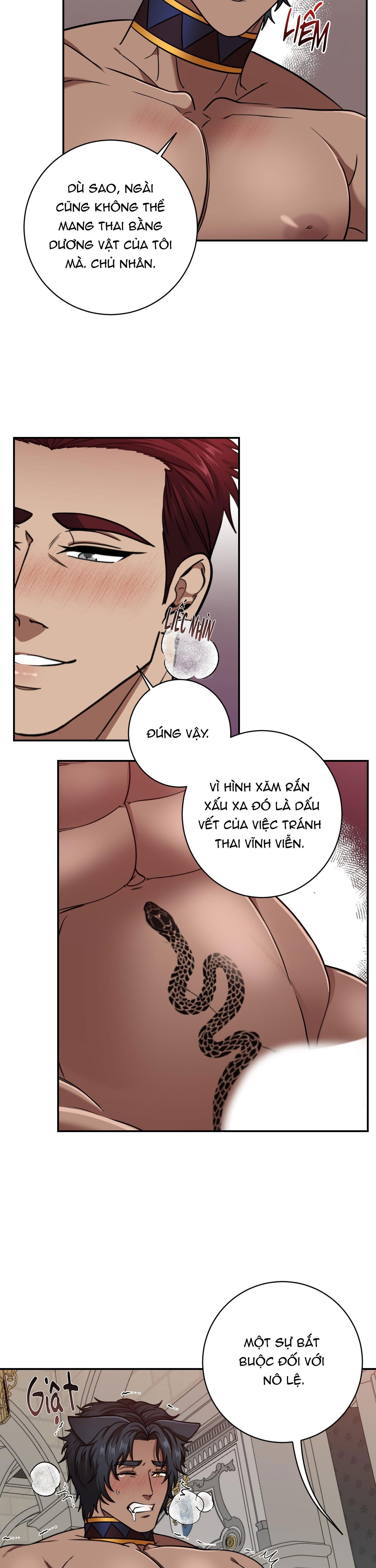 công tước muốn có con nối dõi Chapter 4 H+++ - Next Chapter 4.1