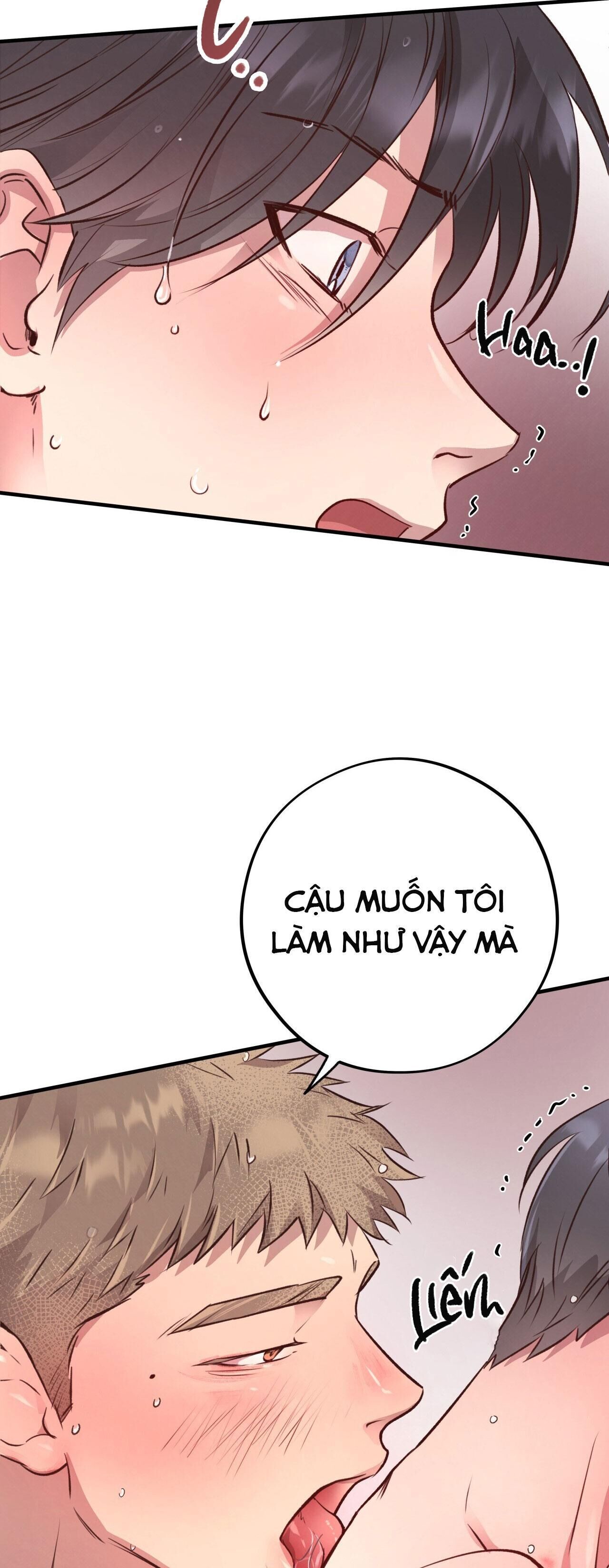 mật gấu Chapter 28 - Next Chương 29