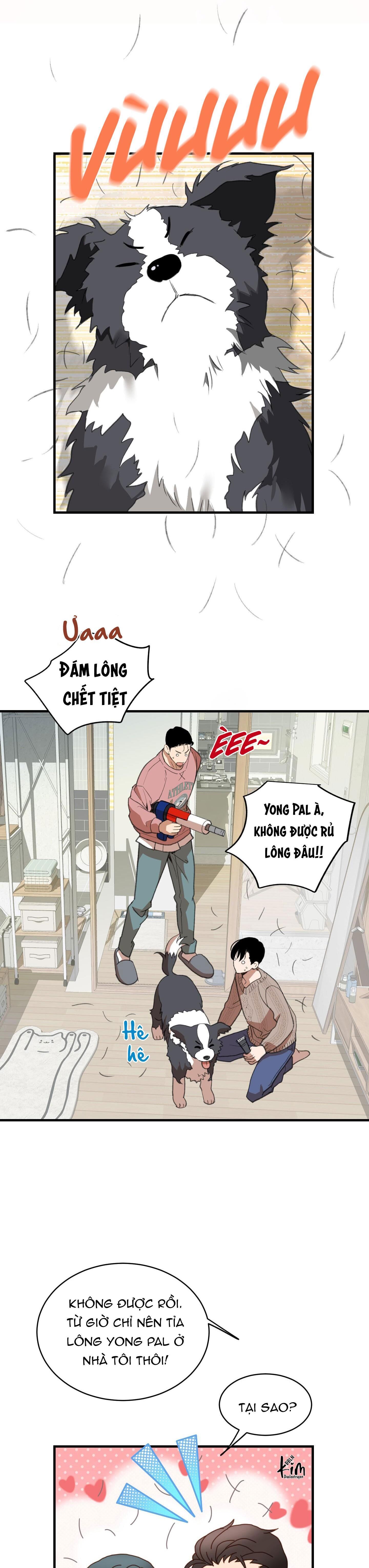 tình yêu lông chó Chapter 9 END - Trang 1