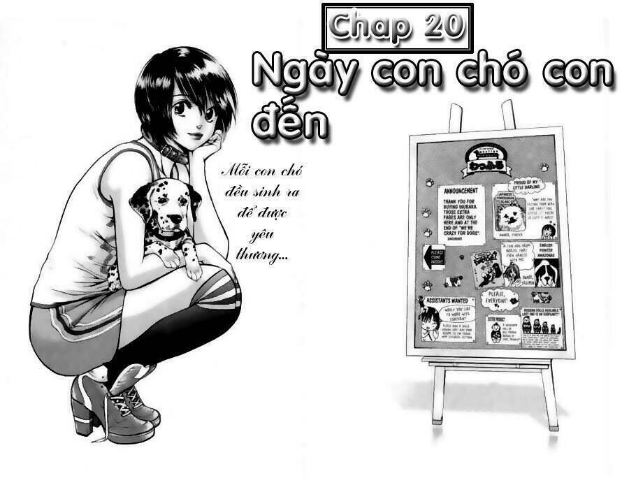 Cô Nàng Yêu Chó Chapter 20 - Trang 2