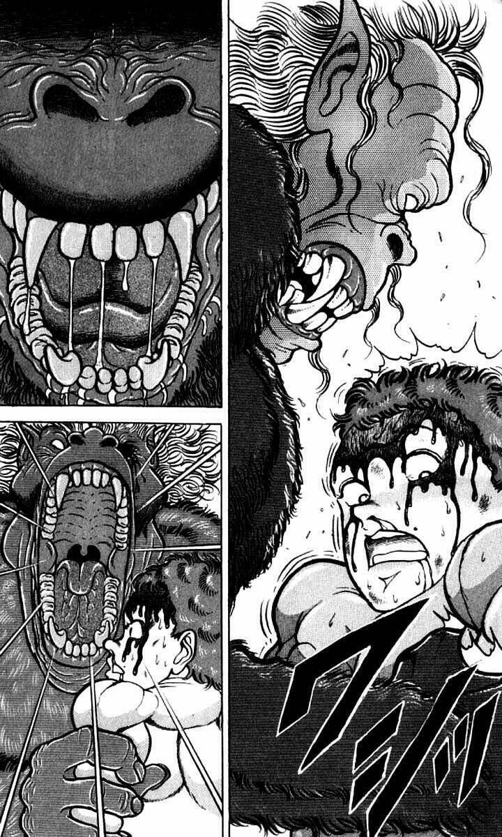 grappler baki chapter 100 - Next chapter 101