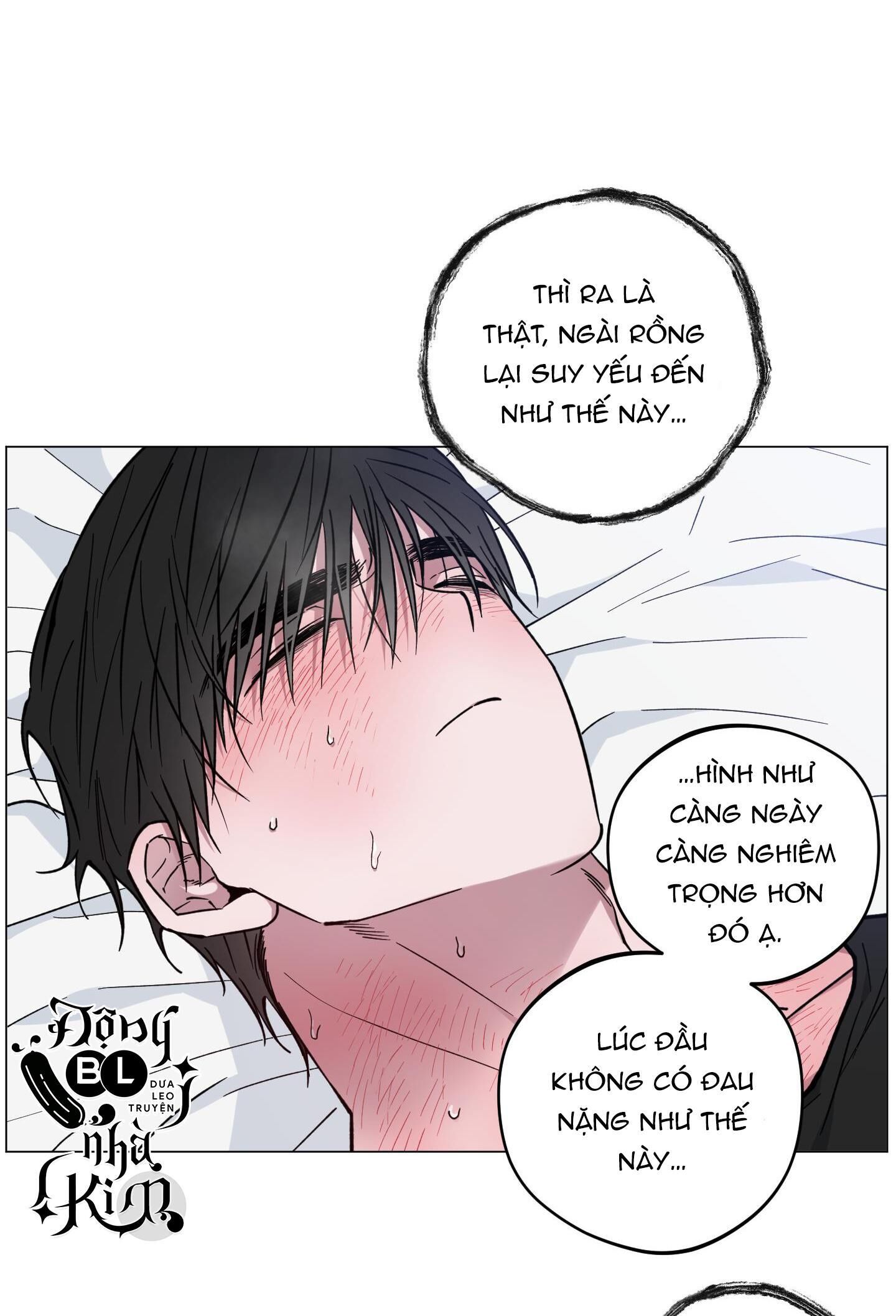 bình minh của rồng Chapter 24 - Trang 1