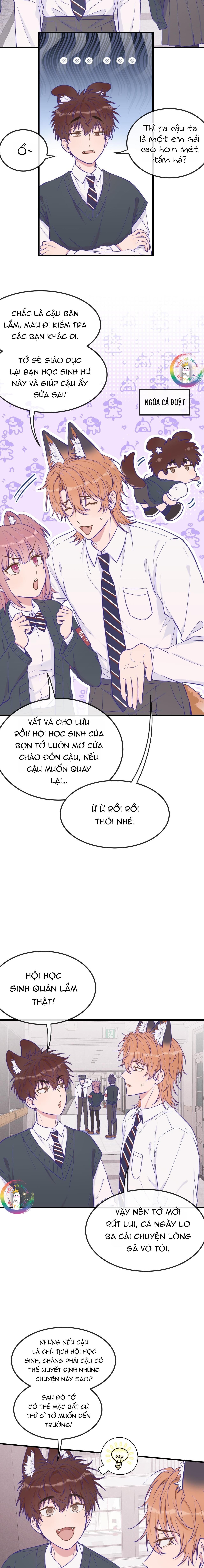 Cún Con Nói Dối Sẽ Bị Ăn Thịt Chapter 21 - Next Chapter 21