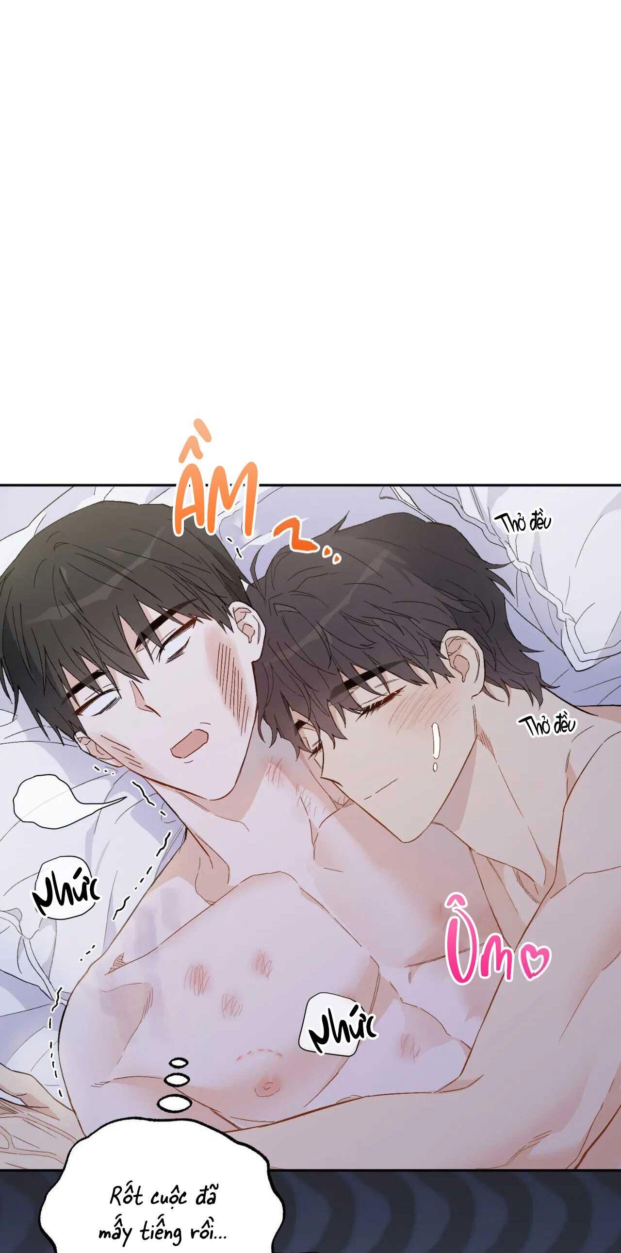 VẬN MỆNH CỦA CẬU LÀ GÌ? Chapter 4 - Trang 2