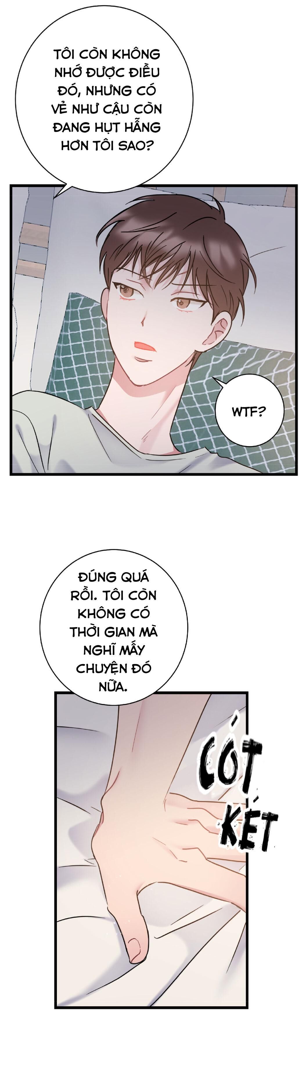 tình yêu bình dị nhất Chapter 27 - Trang 2